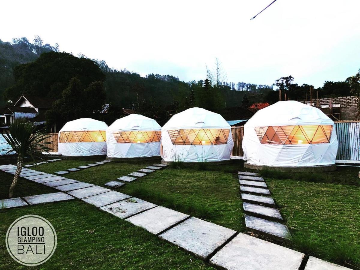 Igloo Glamping Bali Kintamani Exterior foto